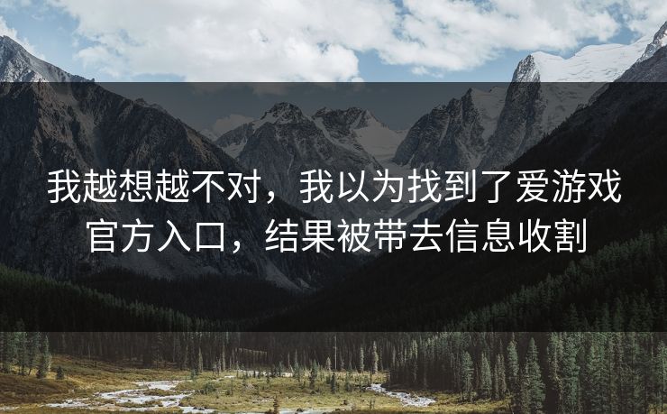 我越想越不对，我以为找到了爱游戏官方入口，结果被带去信息收割
